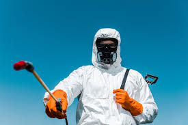 Emergency Pest Control Services in Itasca, IL